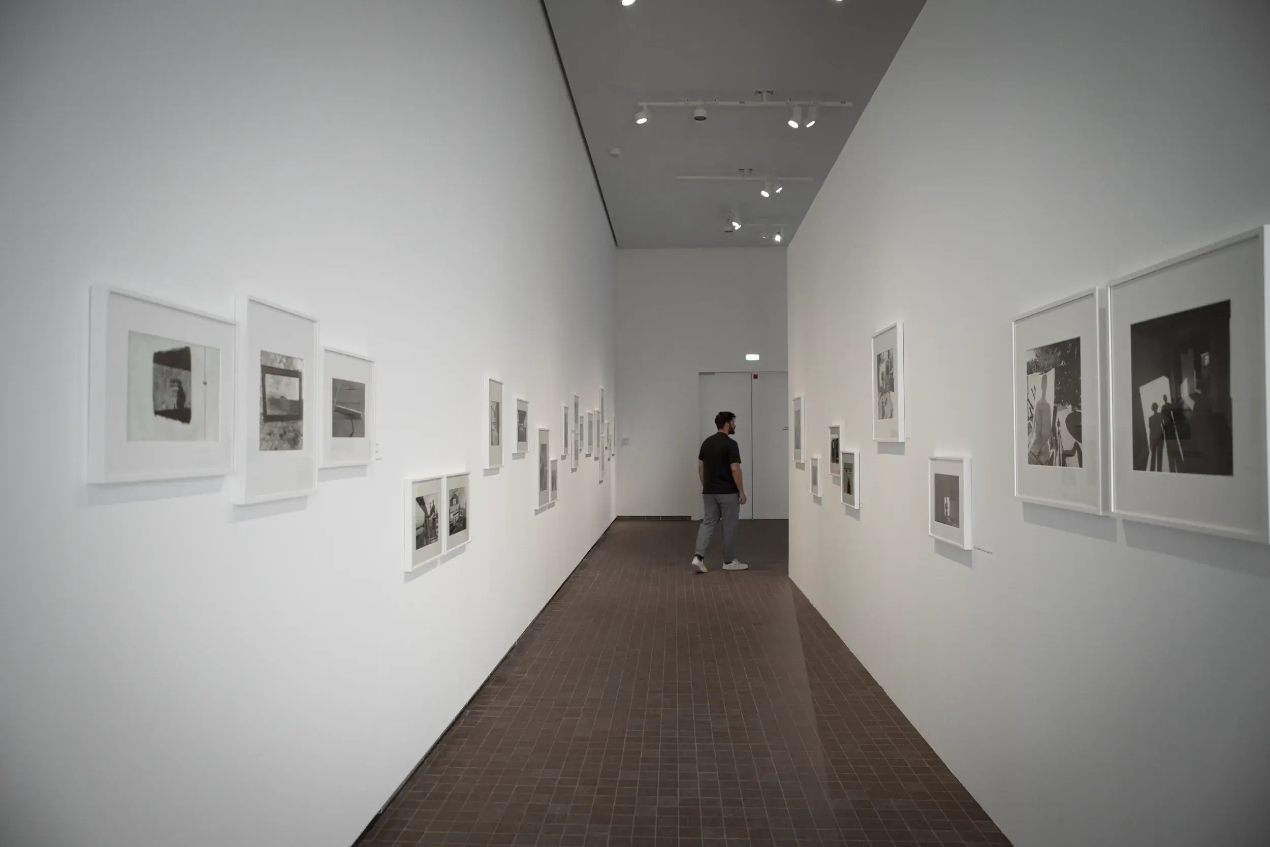 Lee Friedlander Framed by Joel Coen - LUMA Arles